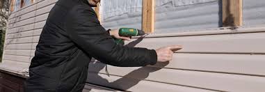 Best Siding Painting and Refinishing  in Neptune Beach, FL